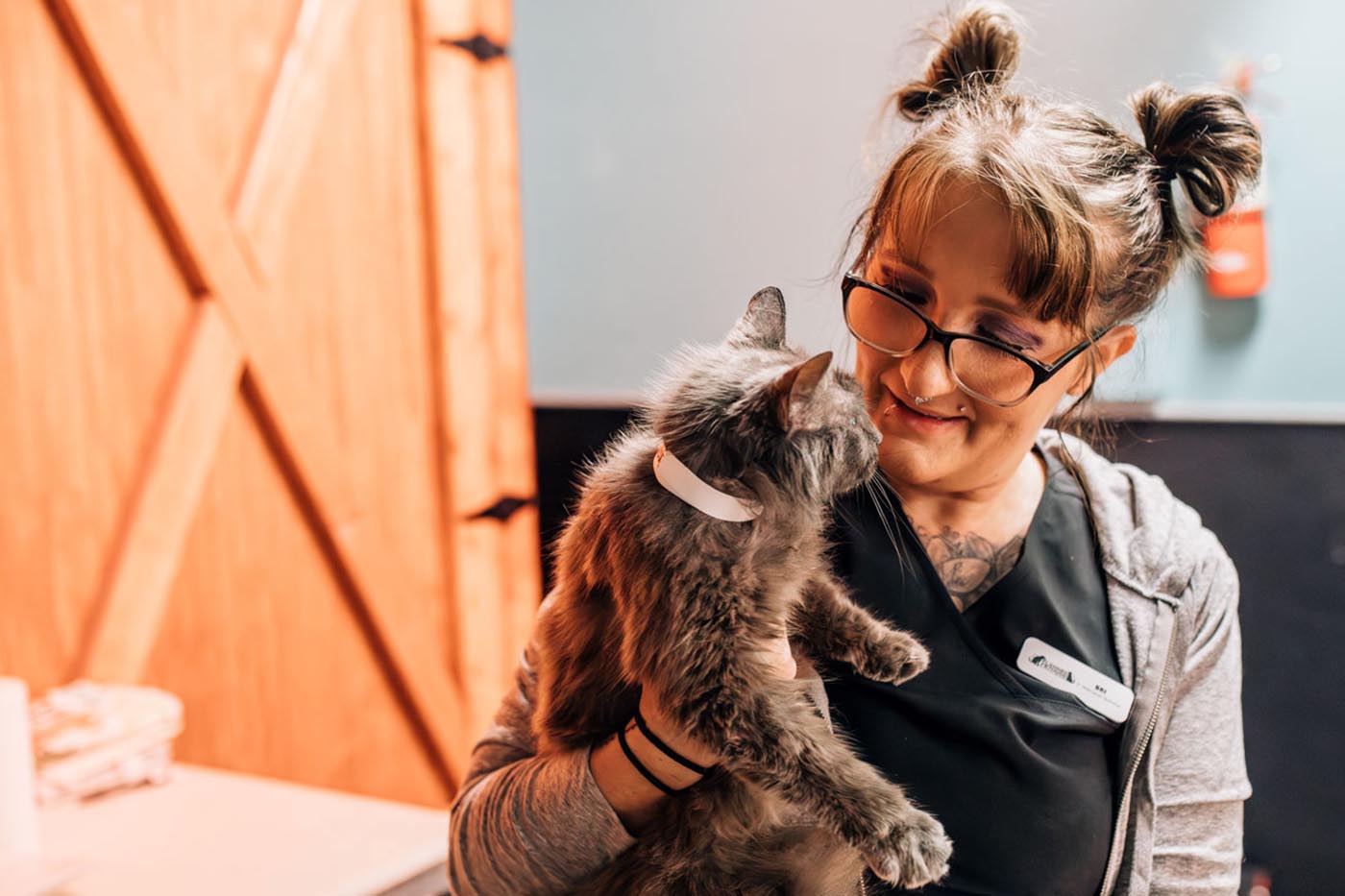 Holding Gray Kitty