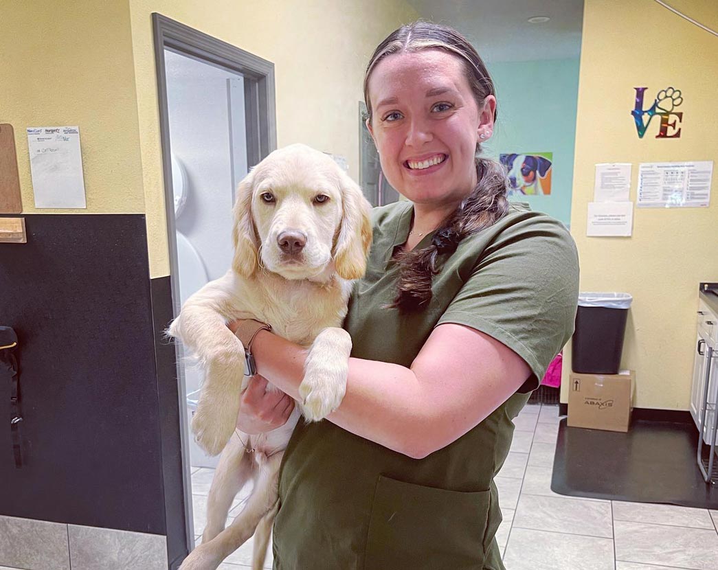 Staff Member Holding Retriever Puppy