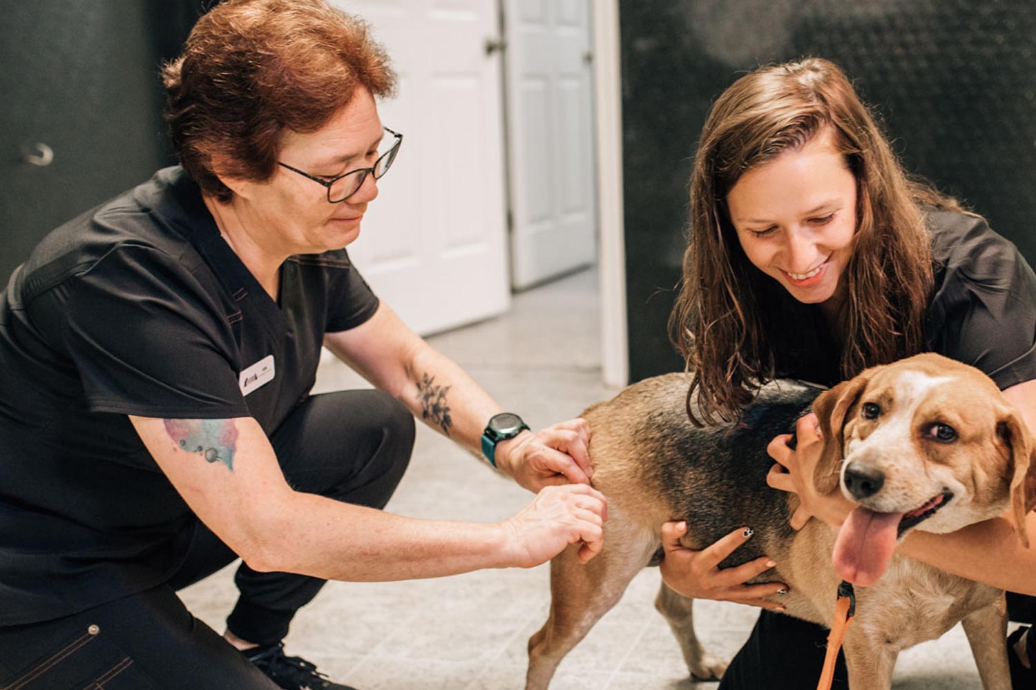 Staff Members With Dog On Floor