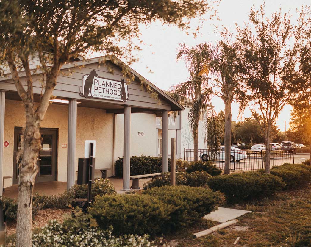 Wesley Chapel Front Entrance