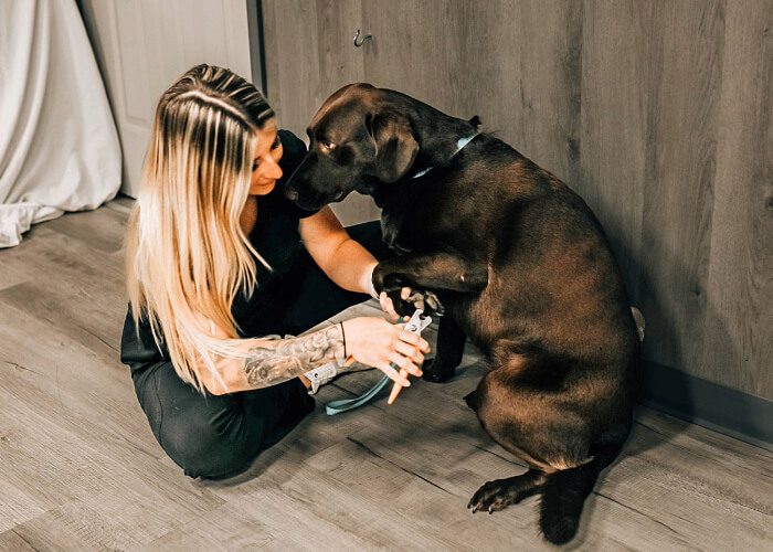 Brooksville Interior Nail Trim