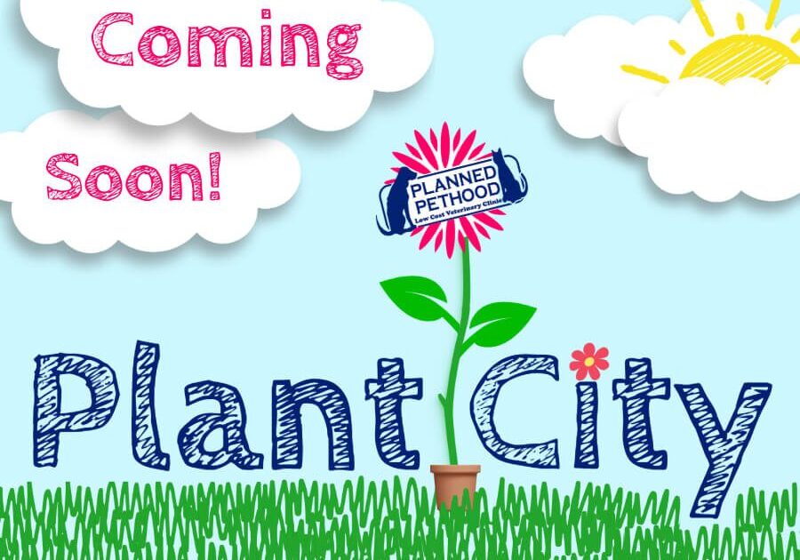 Plant City Location Coming Soon