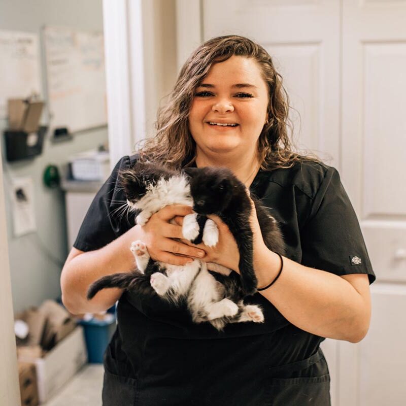 tech holding two kittens